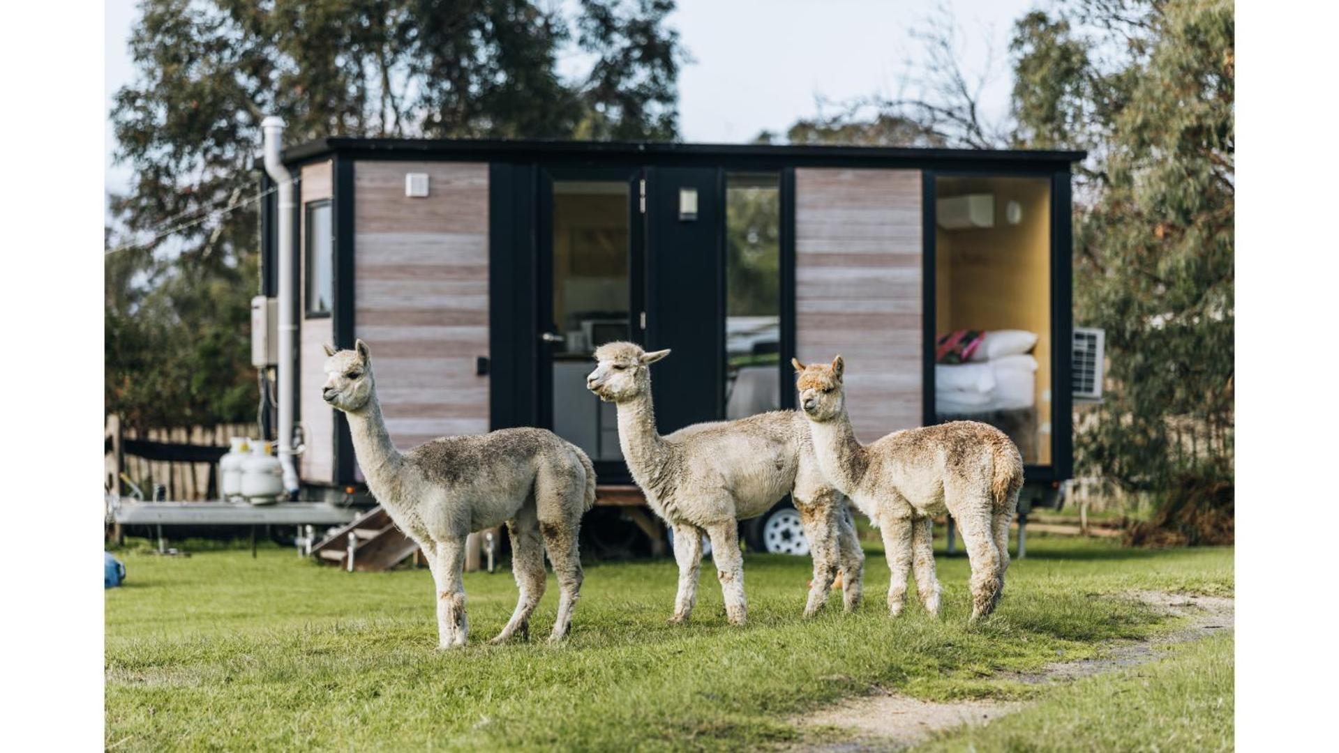 Alberton West Bush Retreat 1 By Tiny Awayヴィラ エクステリア 写真